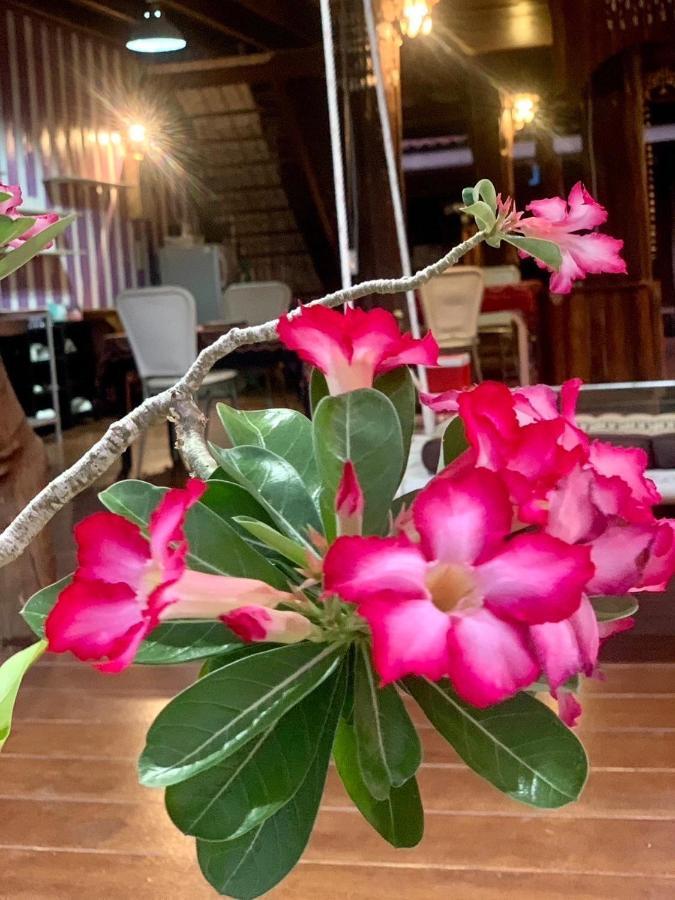 Good View By Koi, Koh Chang Bagian luar foto